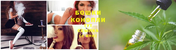 винт Баксан