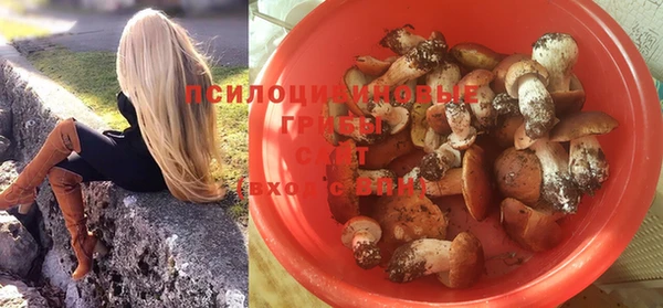 винт Баксан
