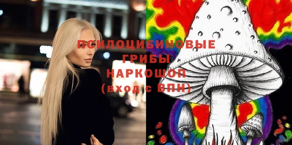 винт Баксан