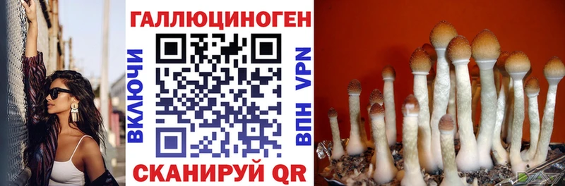 Купить где  Сосногорск  Псилоцибиновые грибы Magic Shrooms 